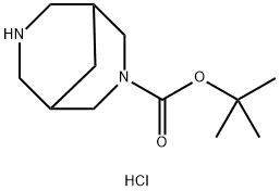 tert-Butyl 3,7-diazabicyclo[3.3.1]nonane-3-carboxylate hydrochloride Struktur