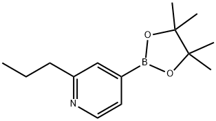 2-propyl-4-(4,4,5,5-tetraMethyl-1,3,2-dioxaborolan-2-yl)pyridine Struktur