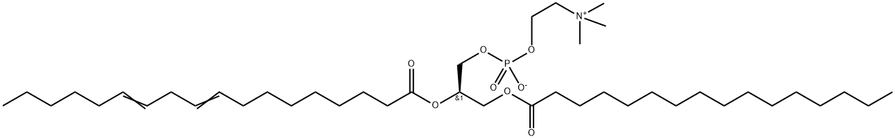 1-palMitoyl-2-linoleoyl-sn-glycero-3-phosphocholine Struktur