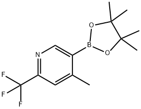 2-(trifluoroMethyl)-4-Methyl-5-(4,4,5,5-tetraMethyl-1,3,2-dioxaborolan-2-yl)pyridine Struktur