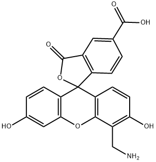 4'-AMinoMethyl-6-FAM Struktur