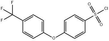 4-(CHLOROSULFONYL)-4''-(TRIFLUOROMETHYL)DIPHENYL ETHER, 97% MIN. Struktur