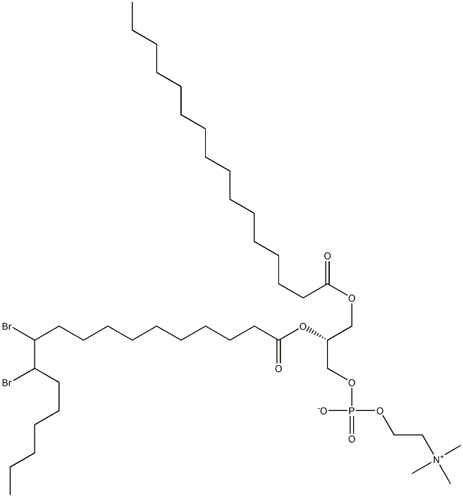 1-palMitoyl-2-(11,12-dibroMo)stearoyl-sn-glycero-3-phosphocholine Struktur