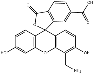 4'-AMinoMethyl-5-FAM Struktur