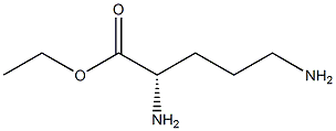 L-ORNITHINE ETHYL ESTER Struktur