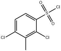 2,4-dichloro-3-methylbenzenesulfonyl chloride(SALTDATA: FREE) Struktur