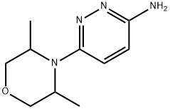 6-(3,5-diMethylMorpholino)pyridazin-3-aMine Struktur