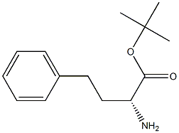 D-HoMophenylalanine tert-Butyl Ester Struktur