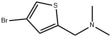 1-(4-BroMothiophen-2-yl)-N,N-diMethylMethanaMine Struktur