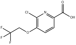 6-氯-5-三氟乙氧基-2-吡啶甲酸, 855916-43-7, 結(jié)構(gòu)式