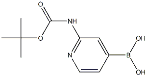 2-(tert-ButoxycarbonylaMino)pyridin-4-ylboronic acid Struktur