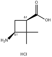 cis-3-AMino-2,2-diMethylcyclobutanecarboxylic acid hydrochloride Struktur