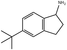 5-tert-butyl-2,3-dihydro-1H-inden-1-aMine Struktur