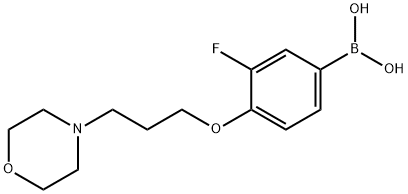 3-fluoro-4-(3-Morpholinopropoxy)phenylboronic acid Struktur