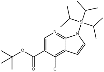 tert-butyl 4-chloro-1-(triisopropylsilyl)-1H-pyrrolo[2,3-b]pyridine-5-carboxylate Struktur