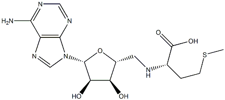 (R, S)-Adenosyl-L-Methionine Struktur