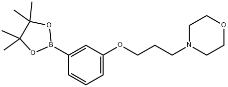 4-(3-(3-(4,4,5,5-tetraMethyl-1,3,2-dioxaborolan-2-yl)phenoxy)propyl)Morpholine Struktur