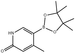 4-Methyl-5-(4,4,5,5-tetraMethyl-1,3,2-dioxaborolan-2-yl)pyridin-2-ol Struktur