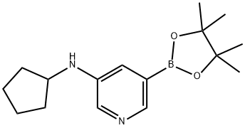 N-CYCLOPENTYL-5-(4,4,5,5-TETRAMETHYL-1,3,2-DIOXABOROLAN-2-YL)PYRIDIN-3-AMINE Struktur