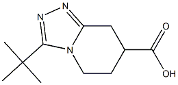 3-tert-Butyl-5,6,7,8-tetrahydro-[1,2,4]triazolo[4,3-a]pyridine-7-carboxylic acid Struktur