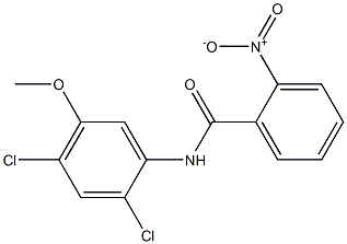 N-(2,4-dichloro-5-Methoxyphenyl)-2-nitrobenzaMide Struktur