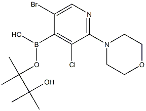 5-BroMo-3-chloro-2-(Morpholin-4-yl)pyridin-4-boronic acid pinacol ester Struktur