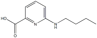 6-(butylaMino)picolinic acid Struktur