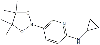 N-CYCLOPROPYL-5-(4,4,5,5-TETRAMETHYL-1,3,2-DIOXABOROLAN-2-YL)PYRIDIN-2-AMINE Struktur