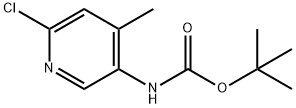 (6-Chloro-4-methyl-pyridin-3-yl)-carbamic acid tert-butyl ester Struktur