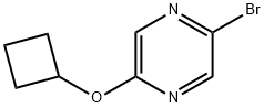 2-Bromo-5-cyclobutoxypyrazine Struktur