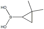 (2,2-dimethylcyclopropyl)boronic acid Struktur