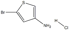 5-Bromothiophen-3-amine hydrochloride Struktur