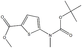 5-[(叔丁氧羰基)甲氨基]噻吩-2-羧酸甲酯, 1174316-17-6, 結(jié)構(gòu)式