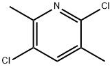 2,5-Dichloro-3,6-dimethylpyridine Struktur