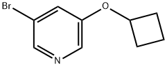 3-Bromo-5-cyclobutoxy-pyridine Struktur