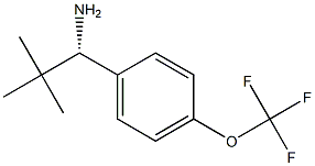 (1S)-2,2-DIMETHYL-1-[4-(TRIFLUOROMETHOXY)PHENYL]PROPYLAMINE Struktur