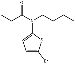 N-(5-bromothiophen-2-yl)-N-butylpropanamide Struktur