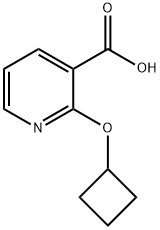 2-Cyclobutoxypyridine-3-carboxylic acid Struktur