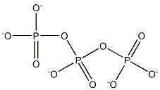 Triphosphate  Struktur