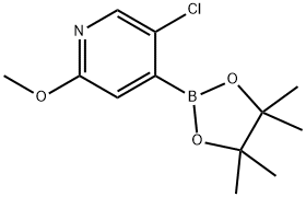 5-Chloro-2-methoxypyridine-4-boronic acid pinacol ester Struktur