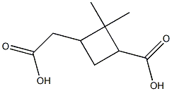 Cyclobutaneacetic acid, 3-carboxy-2,2-dimethyl- Struktur