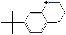 6-tert-Butyl-3,4-dihydro-2H-benzo[1,4]oxazine Struktur