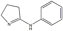 2H-Pyrrol-5-amine, 3,4-dihydro-N-phenyl- Struktur