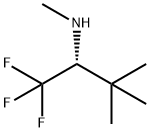 (R)-N-METHYL-2,2-DIMETHYL-1-TRIFLUOROMETHYL-PROPYLAMINE Struktur