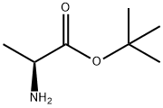 TERT-BUTYL2-AMINOPROPANOATE Struktur