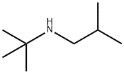 tert-butyl(2-methylpropyl)amine Struktur