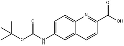 6-((tert-butoxycarbonyl)amino)quinoline-2-carboxylic acid Struktur