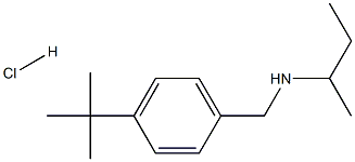 (butan-2-yl)[(4-tert-butylphenyl)methyl]amine hydrochloride Struktur