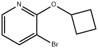 3-bromo-2-cyclobutoxypyridine Struktur