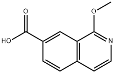 1-METHOXYISOQUINOLINE-7-CARBOXYLIC ACID Struktur